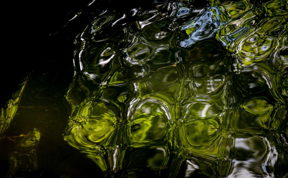Jewels of Water