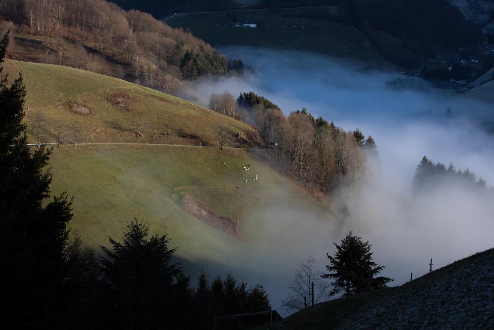 Münstertal im Schwarzwald (16)