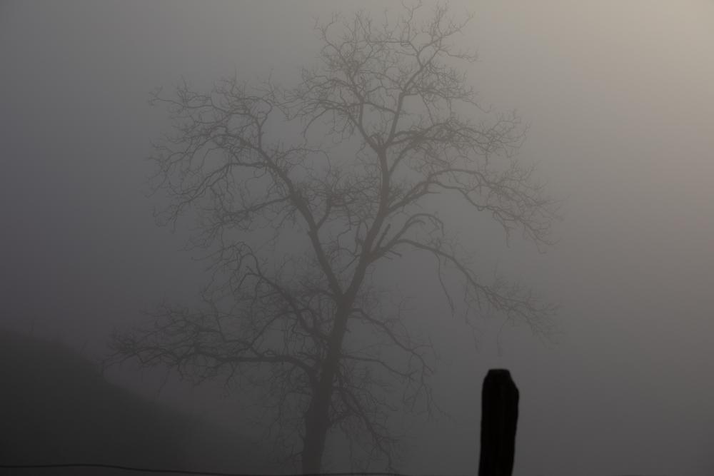 Münstertal im Schwarzwald (8)