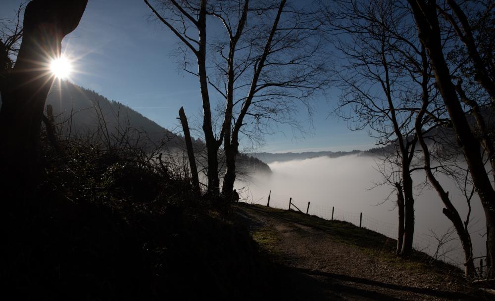 Münstertal im Schwarzwald (2)
