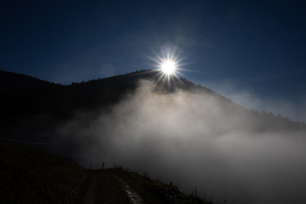 Münstertal im Schwarzwald (15)