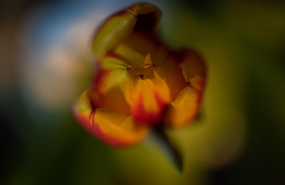 Colourscape (1)