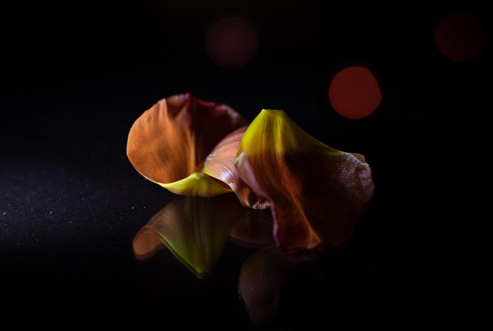 Colourscapes (4)