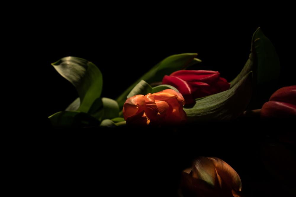 Colourscapes (39)