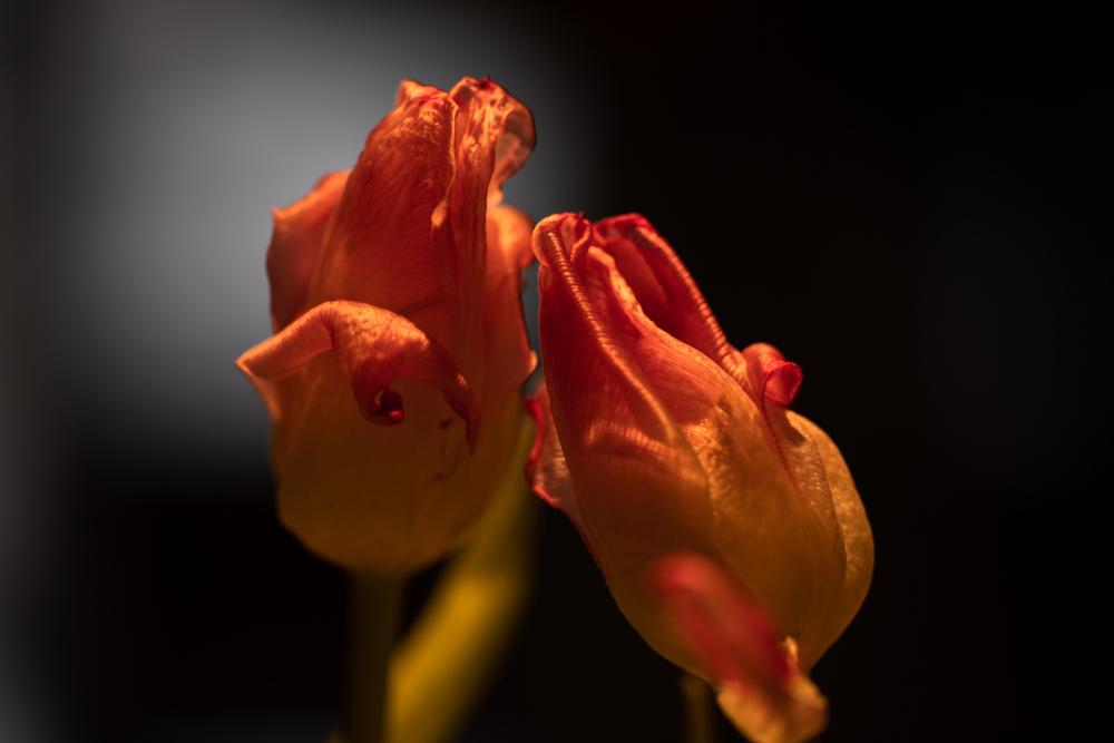 Colourscapes (6)