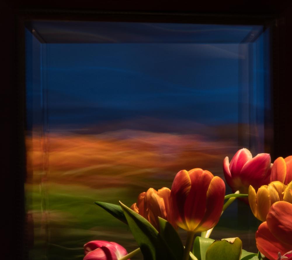 Colourscapes (11)