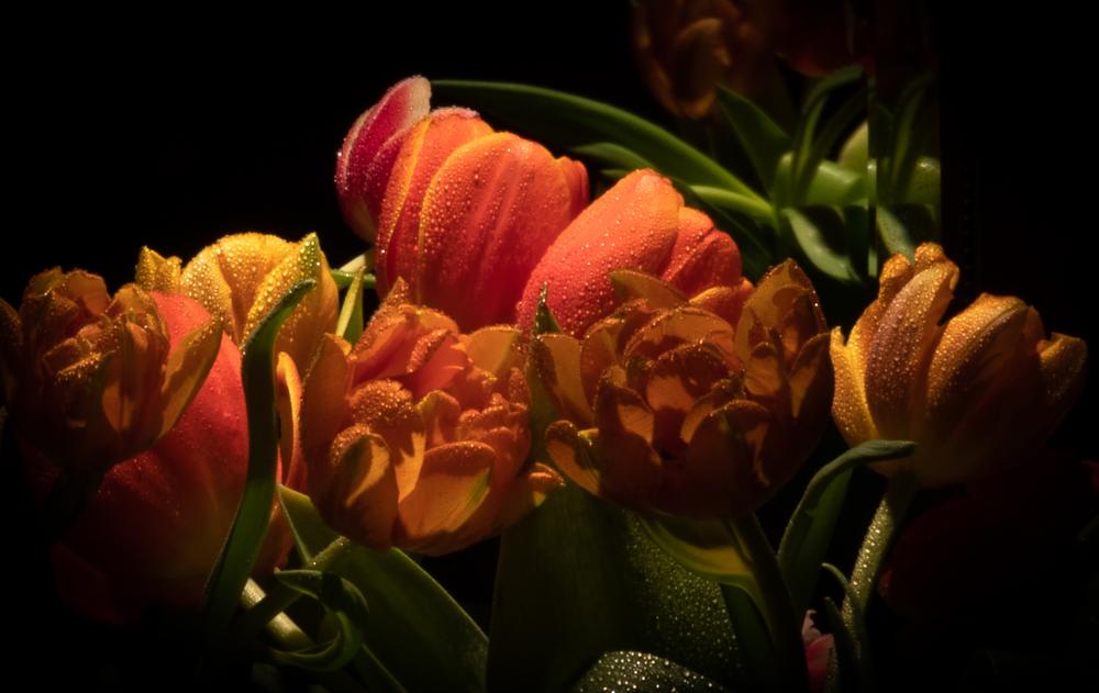 Colourscapes (12)
