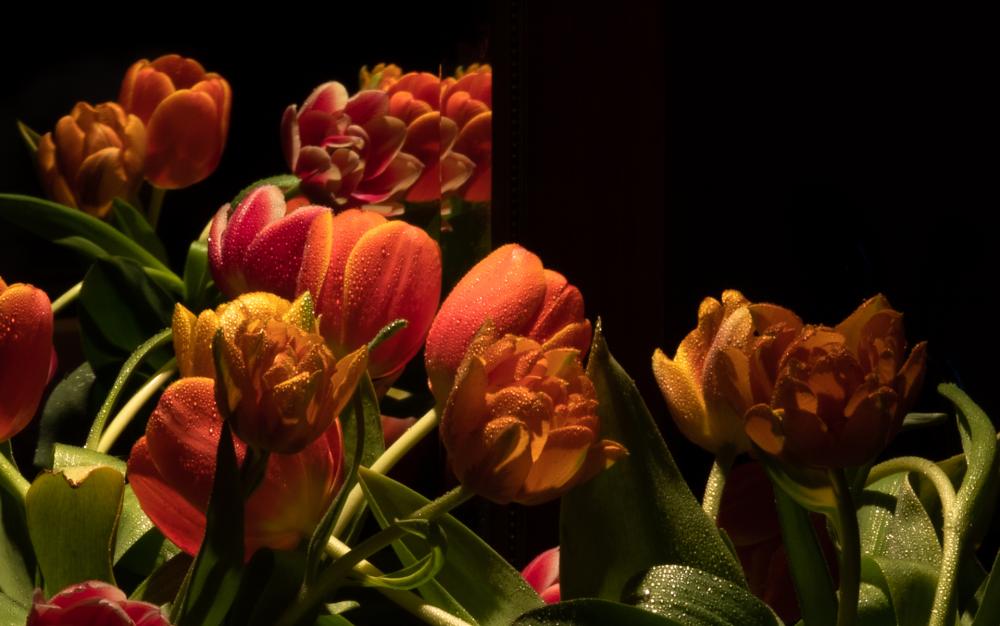 Colourscapes (13)