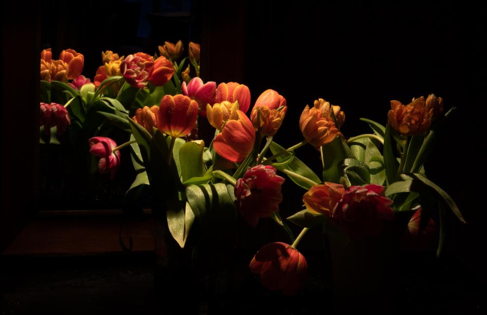Colourscapes (14)