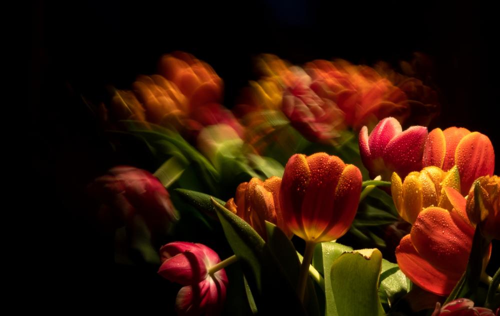 Colourscapes (16)