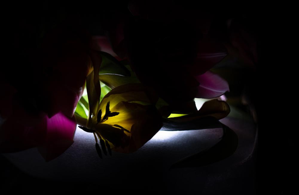 Colourscapes (17)