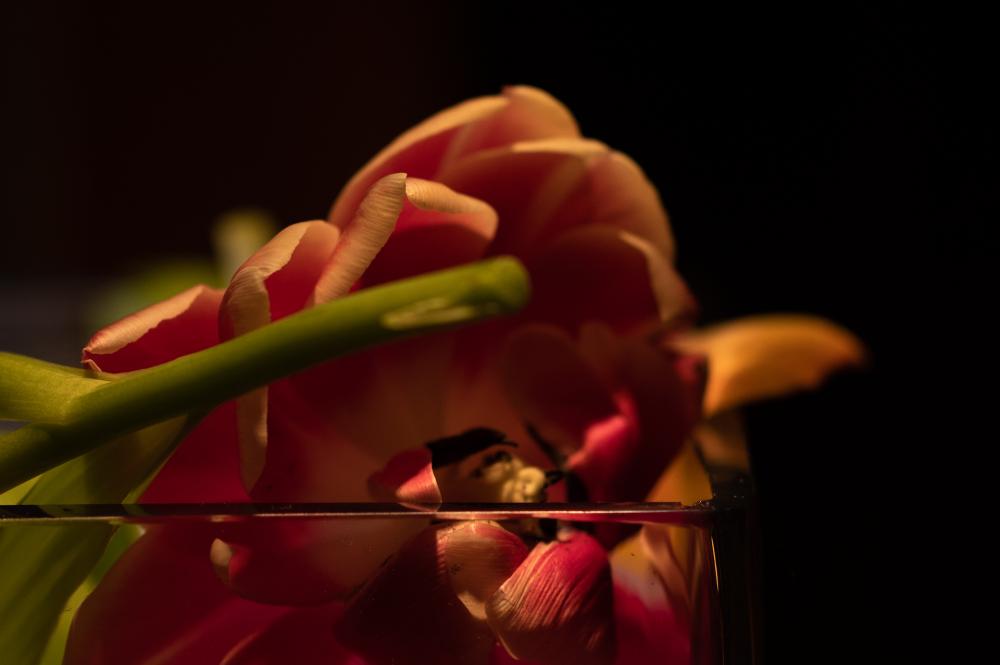 Colourscapes (22)