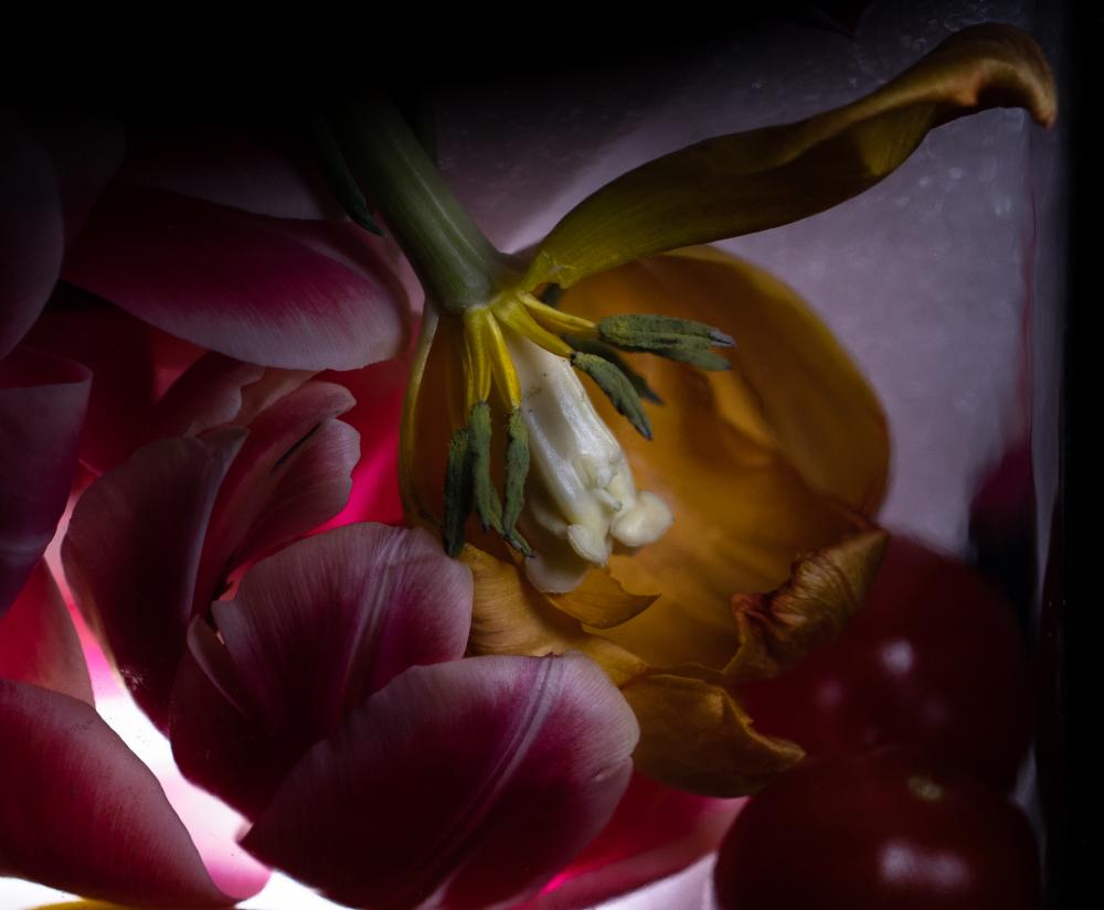 Colourscapes (23)