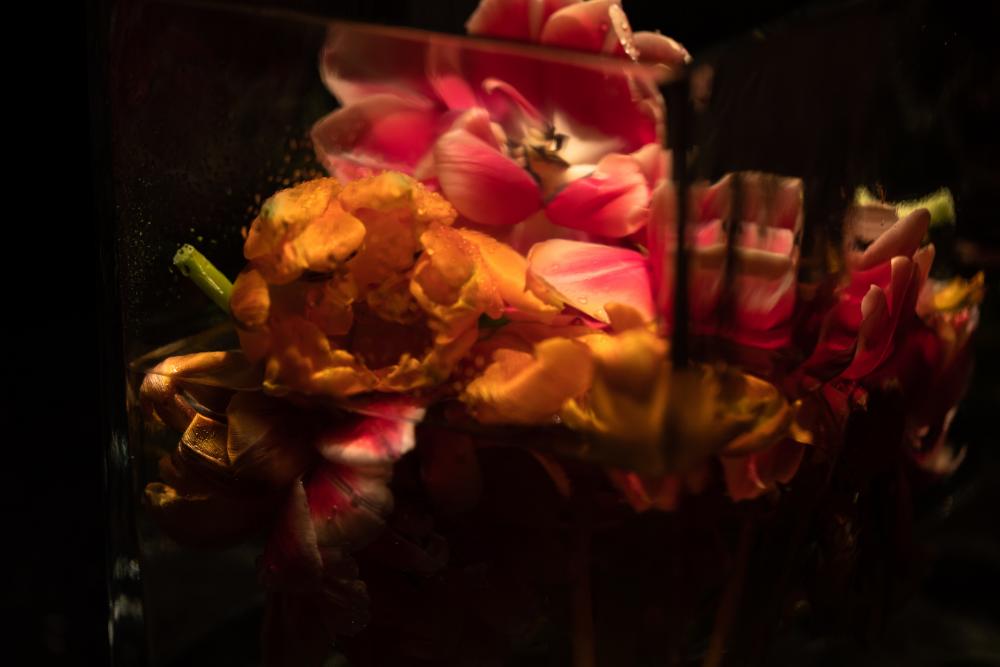 Colourscapes (25)