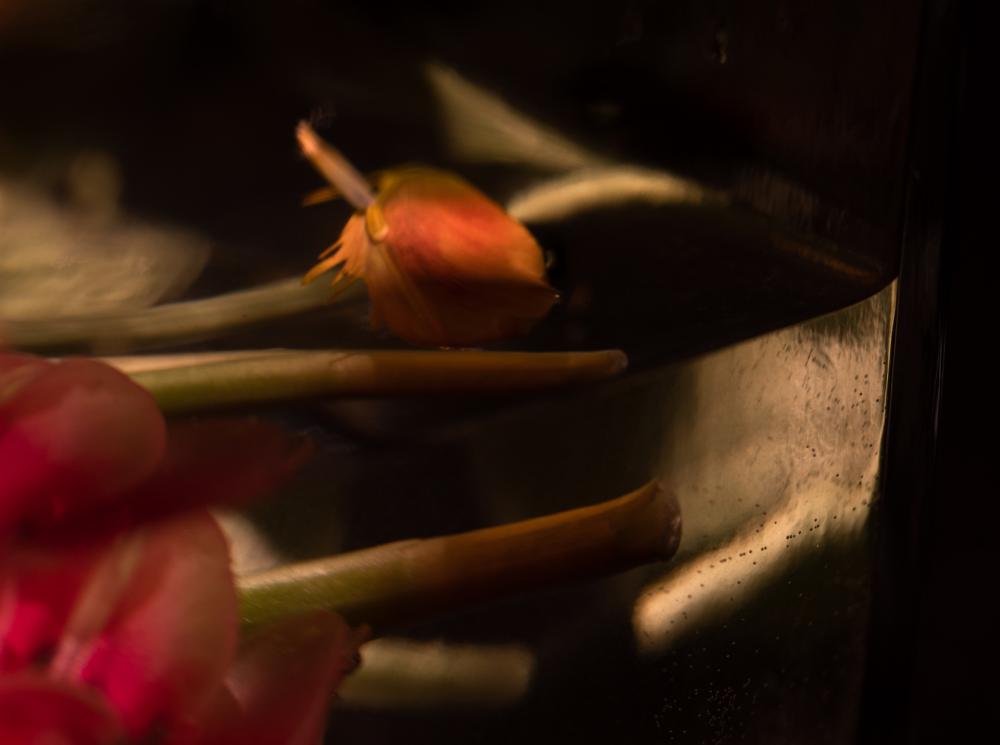 Colourscapes (26)