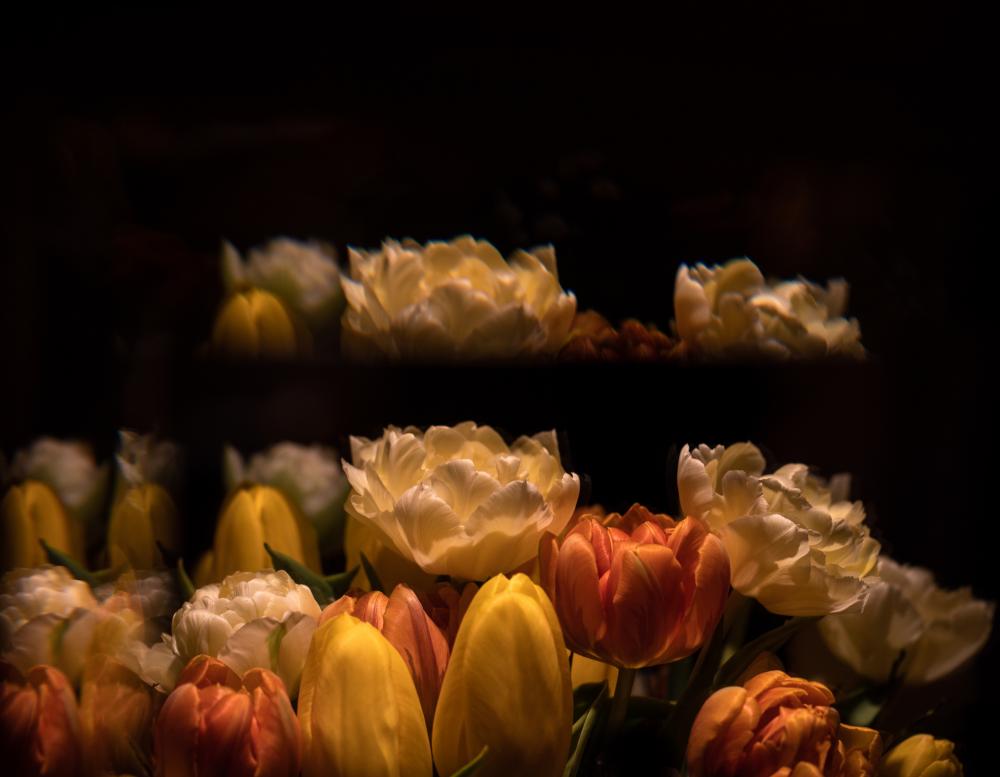 Colourscapes (30)