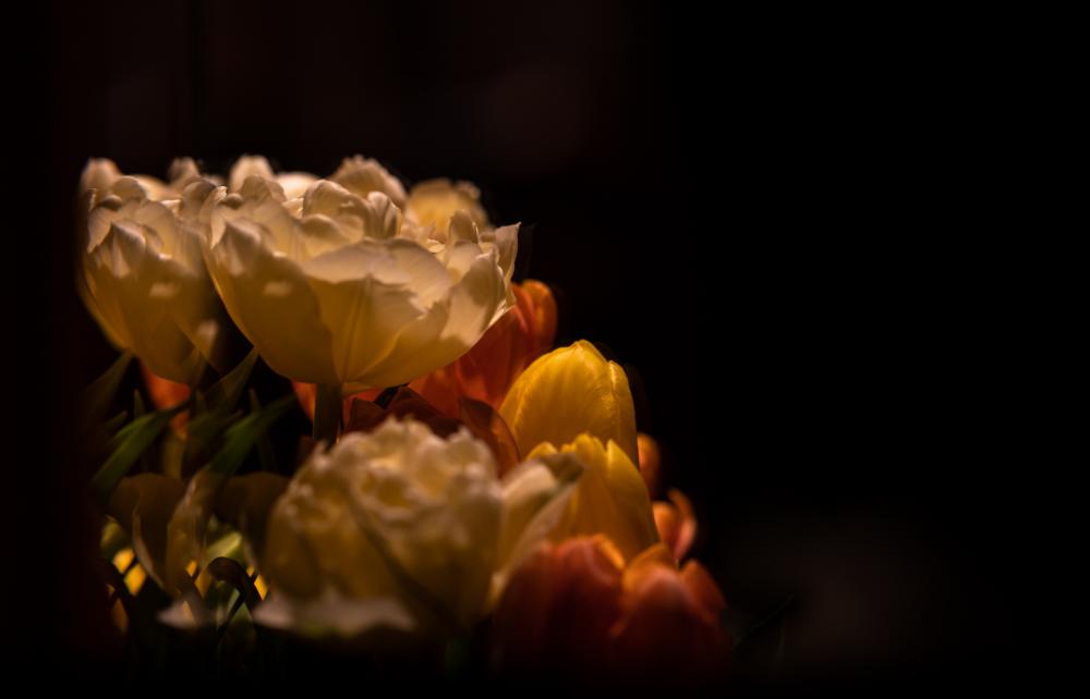 Colourscapes (32)