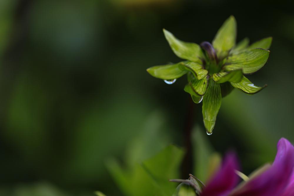 Natur (22)