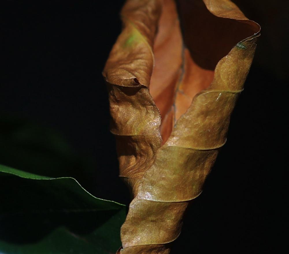 Natur (14)