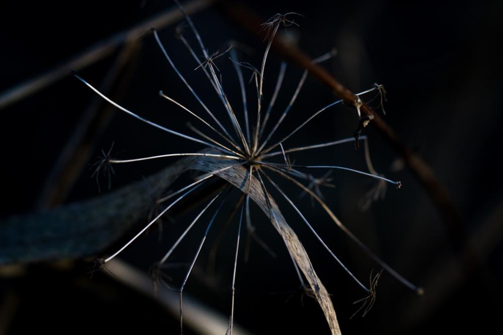 Natur (46)