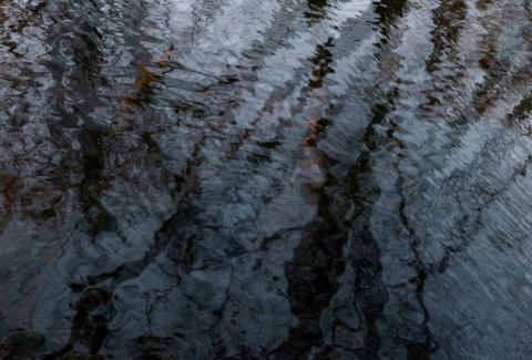 Wasser (1)