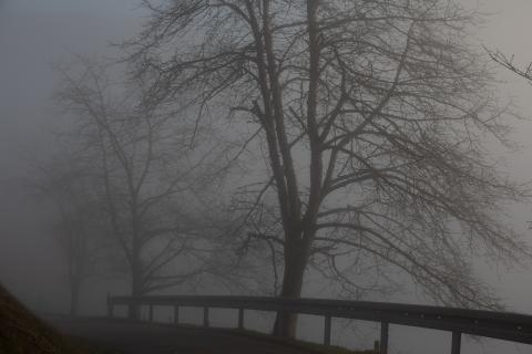 Münstertal im Schwarzwald (11)