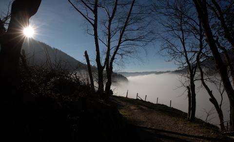 Münstertal im Schwarzwald (2)