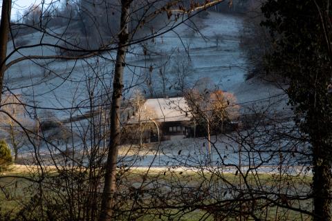 Münstertal im Schwarzwald (9)