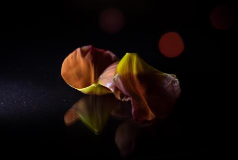 Colourscapes (4)