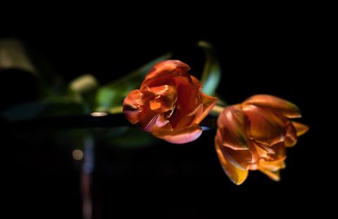Colourscapes (35)
