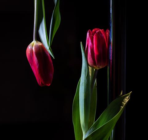 Colourscapes (34)