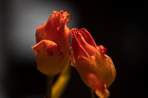 Colourscapes (6)