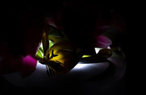 Colourscapes (17)