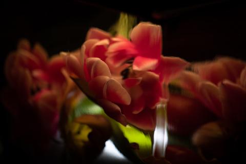Colourscapes (20)