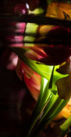 Colourscapes (21)