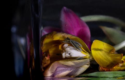Colourscapes (24)