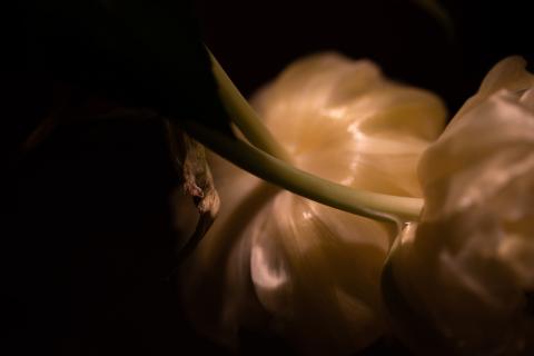 Colourscapes (43)